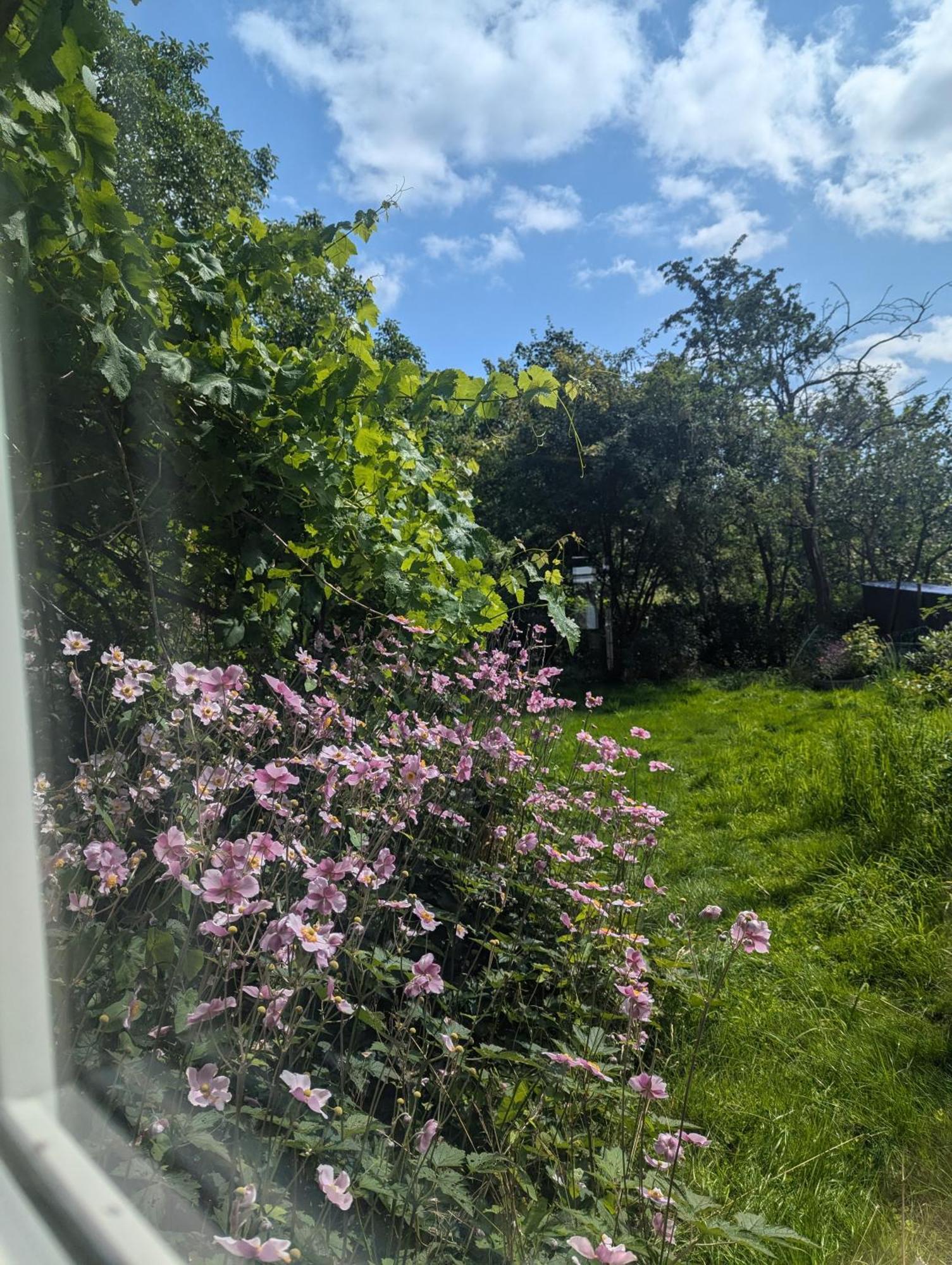Lejlighed Ved Skov Græsted Exteriér fotografie