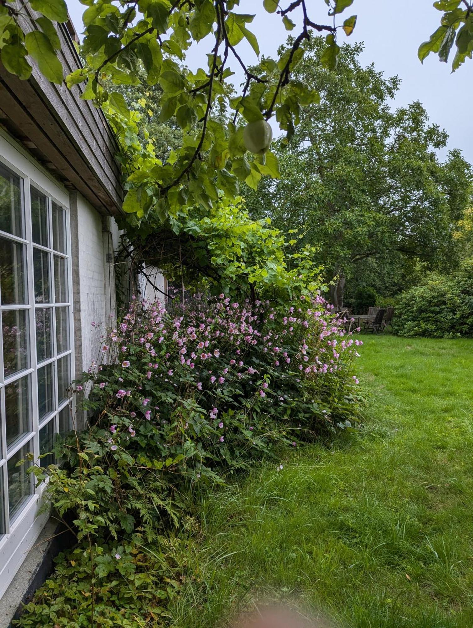 Lejlighed Ved Skov Græsted Exteriér fotografie