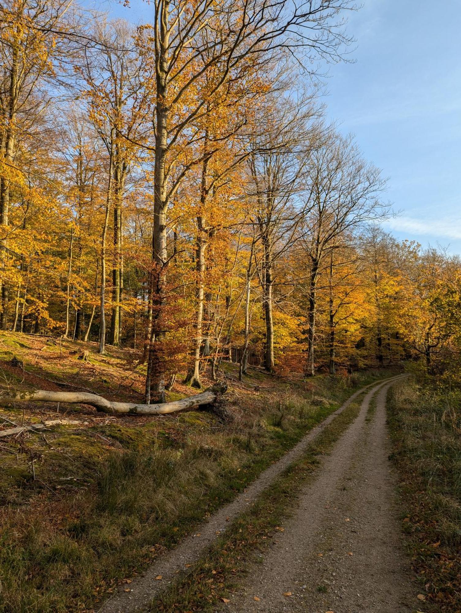 Lejlighed Ved Skov Græsted Exteriér fotografie