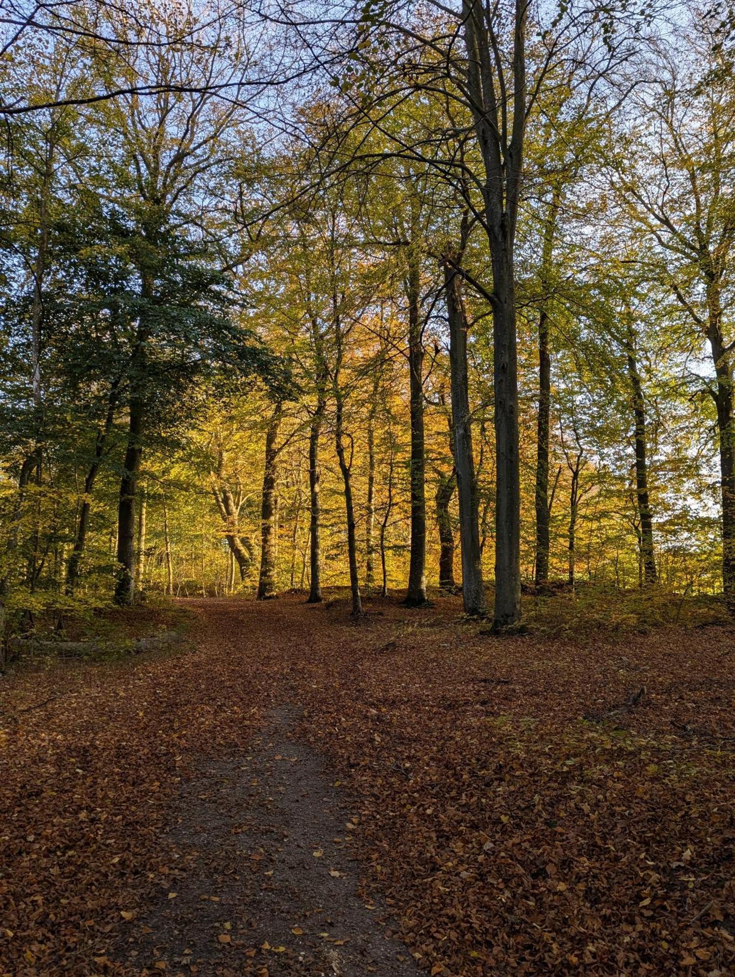 Lejlighed Ved Skov Græsted Exteriér fotografie