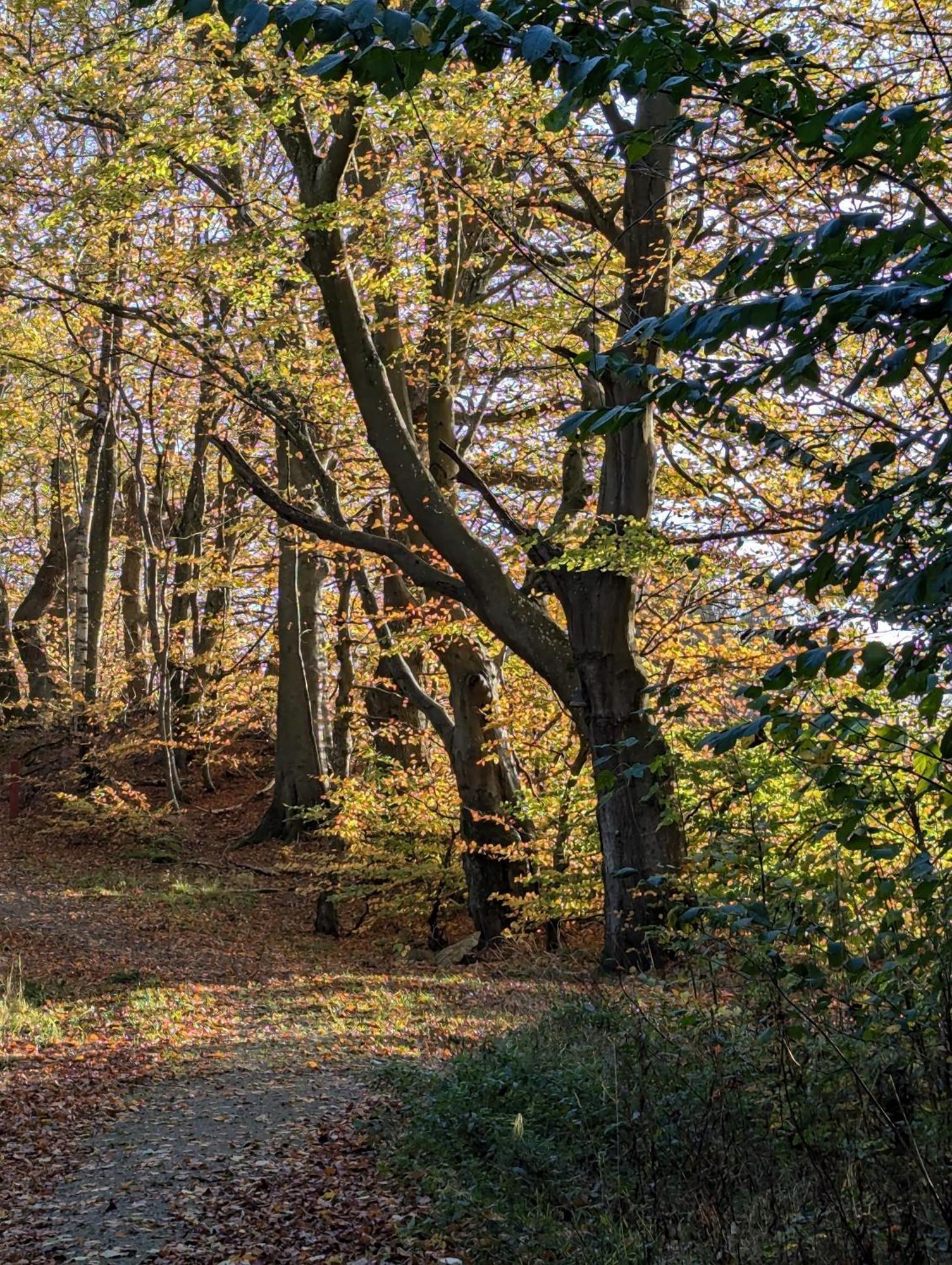 Lejlighed Ved Skov Græsted Exteriér fotografie